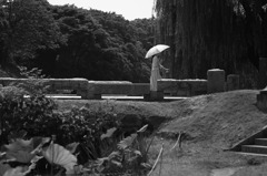 #12 parasol