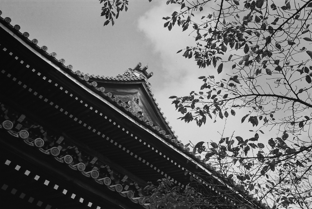 秋空