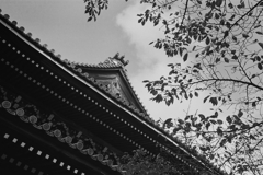 秋空
