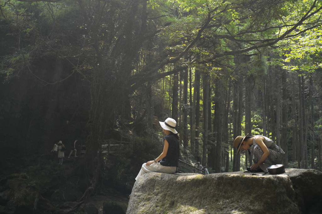 「Nature Girls」