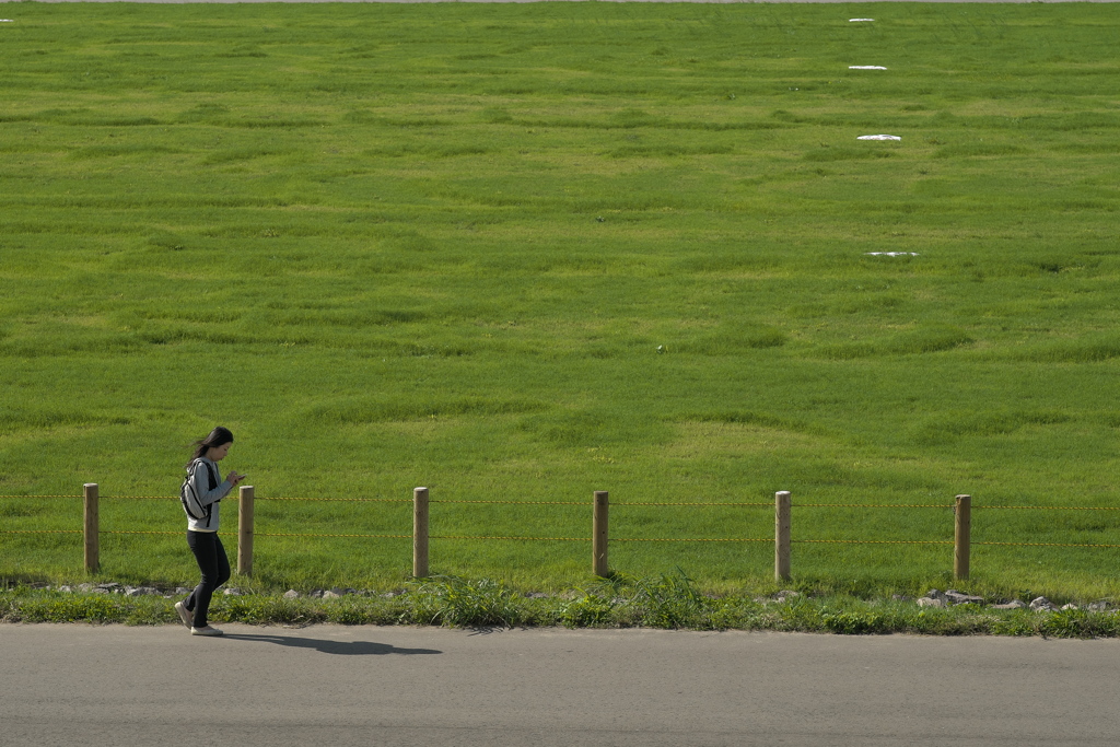 [ Green ]