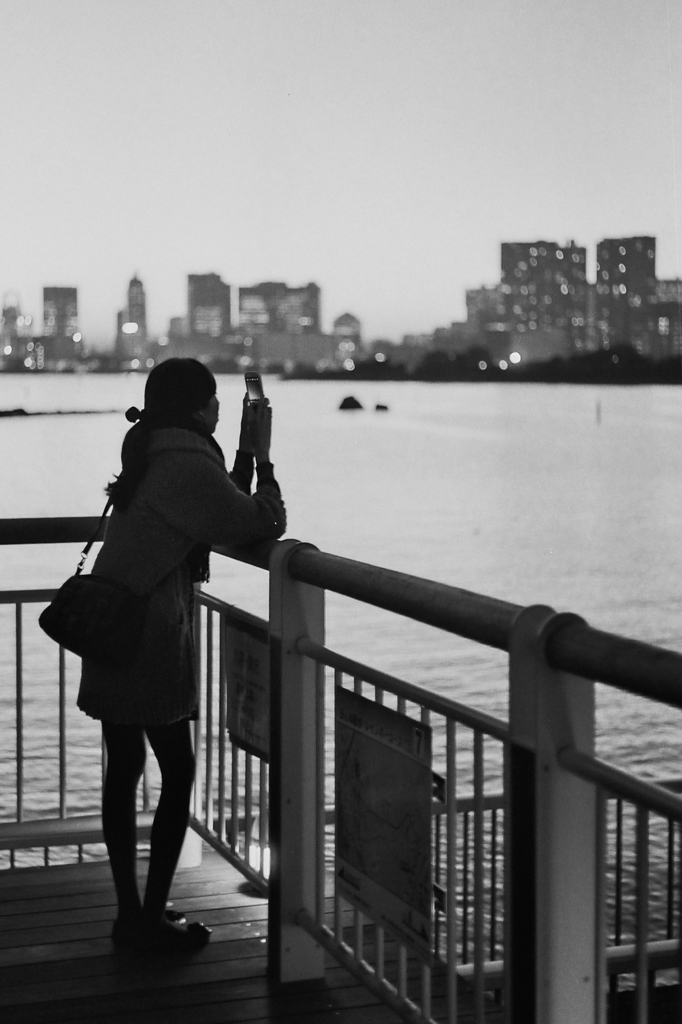 Tokyo Bay Twilight