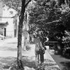 「夏模様」