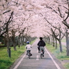 「桜ロードの午後」