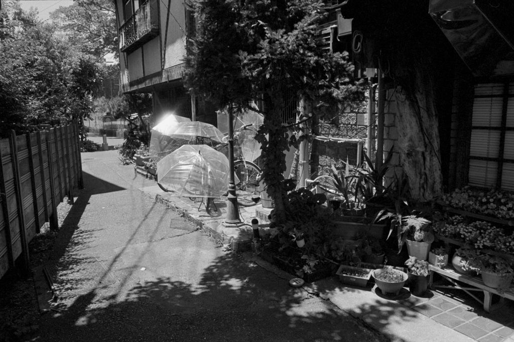 「夏を見つけた場所」