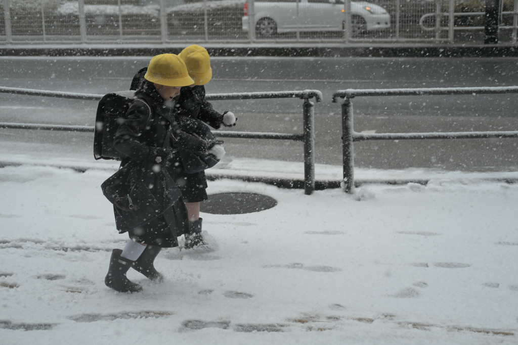 「雪はしゃぎ」