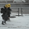 「雪はしゃぎ」