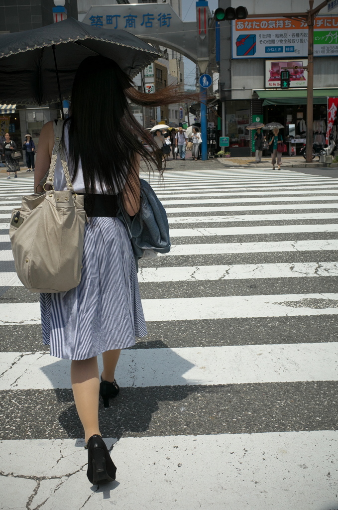 「初夏の風」