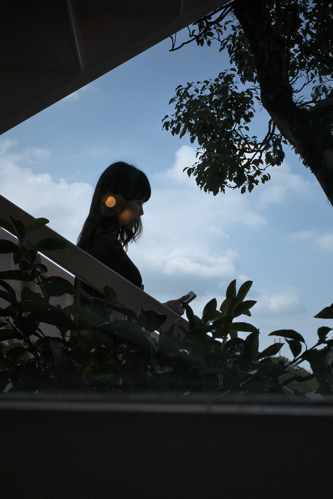 「Through a window」
