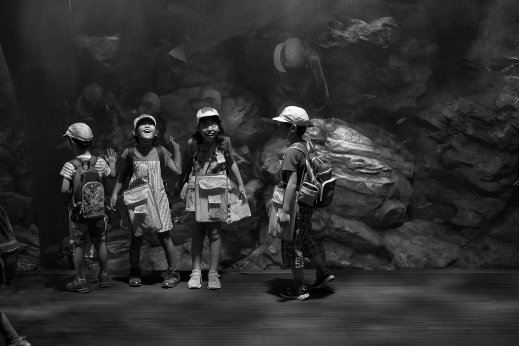 「水族館、わお」