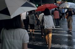 「Rainy Crosswalk」
