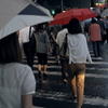 「Rainy Crosswalk」