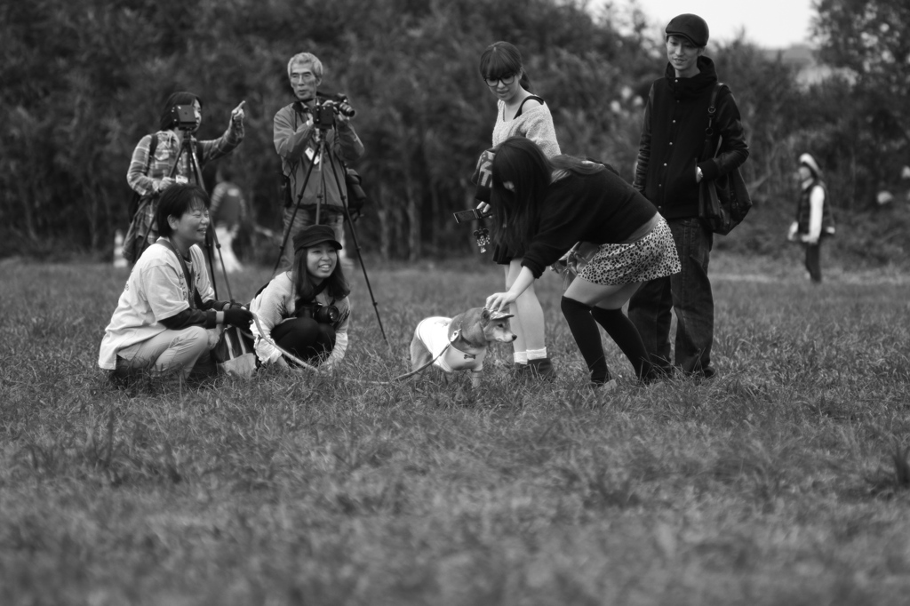 #11　People who play with a dog