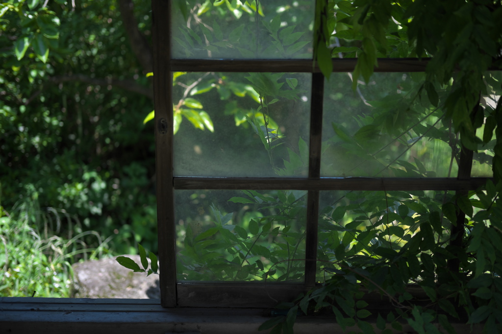 「夏草の匂い」