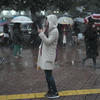 「White in snow」
