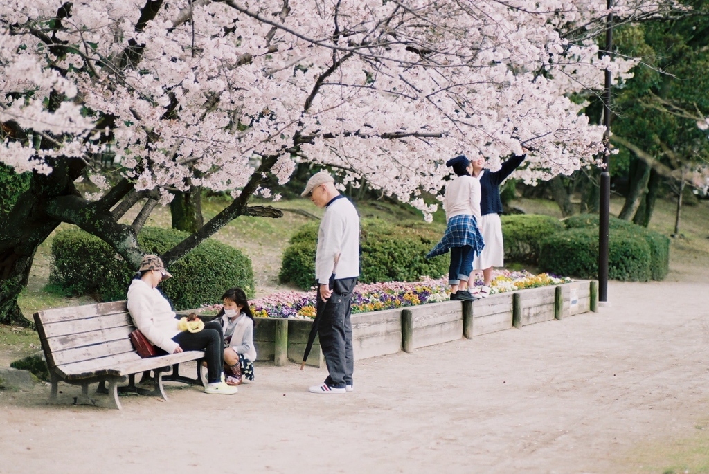 桜色の午後　＃５