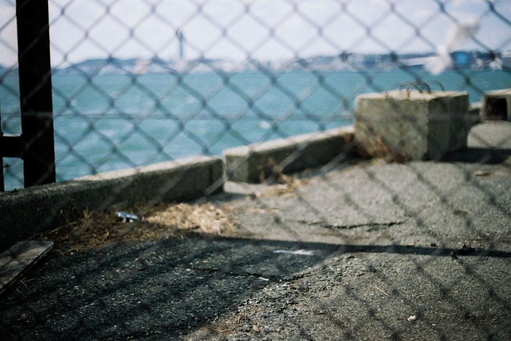 little wretchedness #13