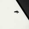 wing