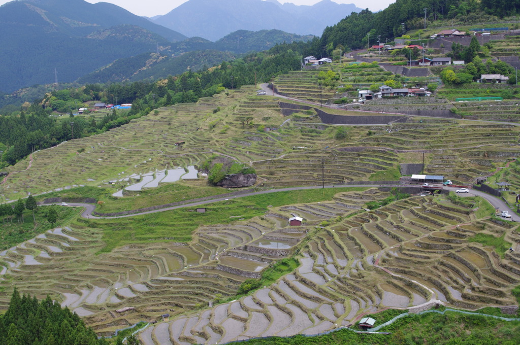 せんまいだぁ～
