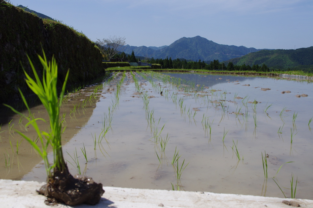 どんなもんだいッ
