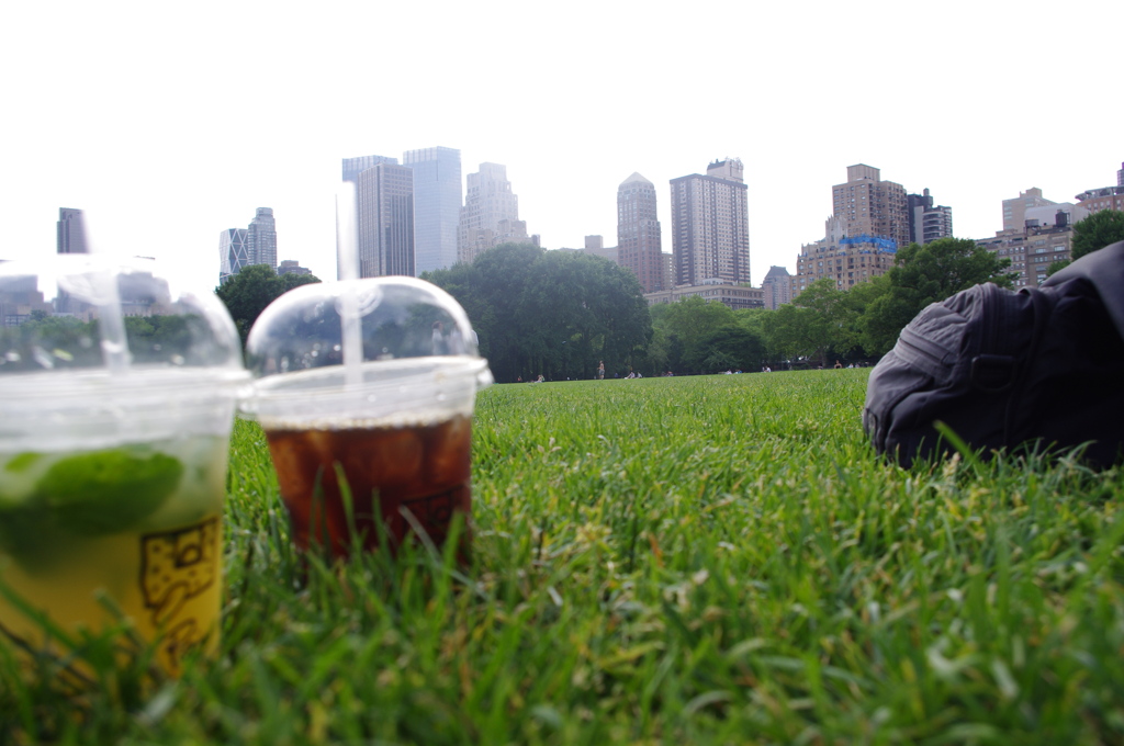 本物のcentral　park