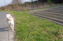 えっさ、ほいさっ