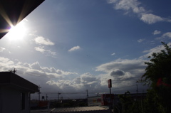 聞こえる?セミの声…