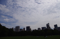 2010_0612_042310-IMGP0708