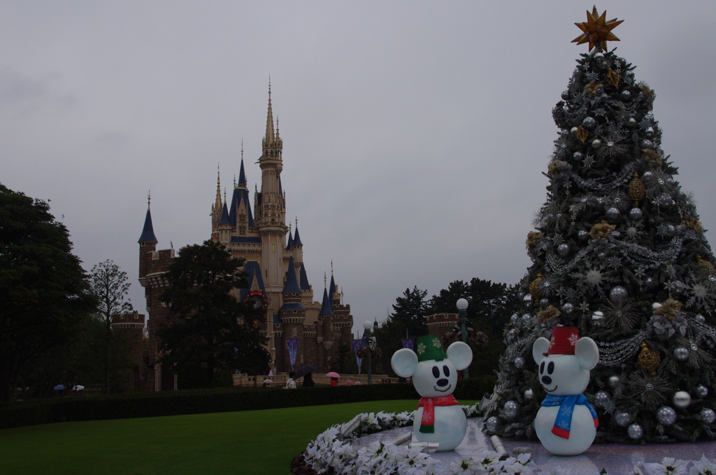 すっかり雪化粧