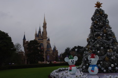 すっかり雪化粧