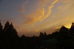 2010_0507_184501-IMGP0443