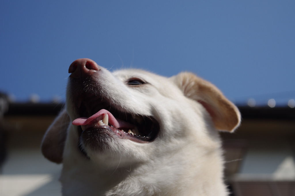 2010_0502_160543-IMGP0426