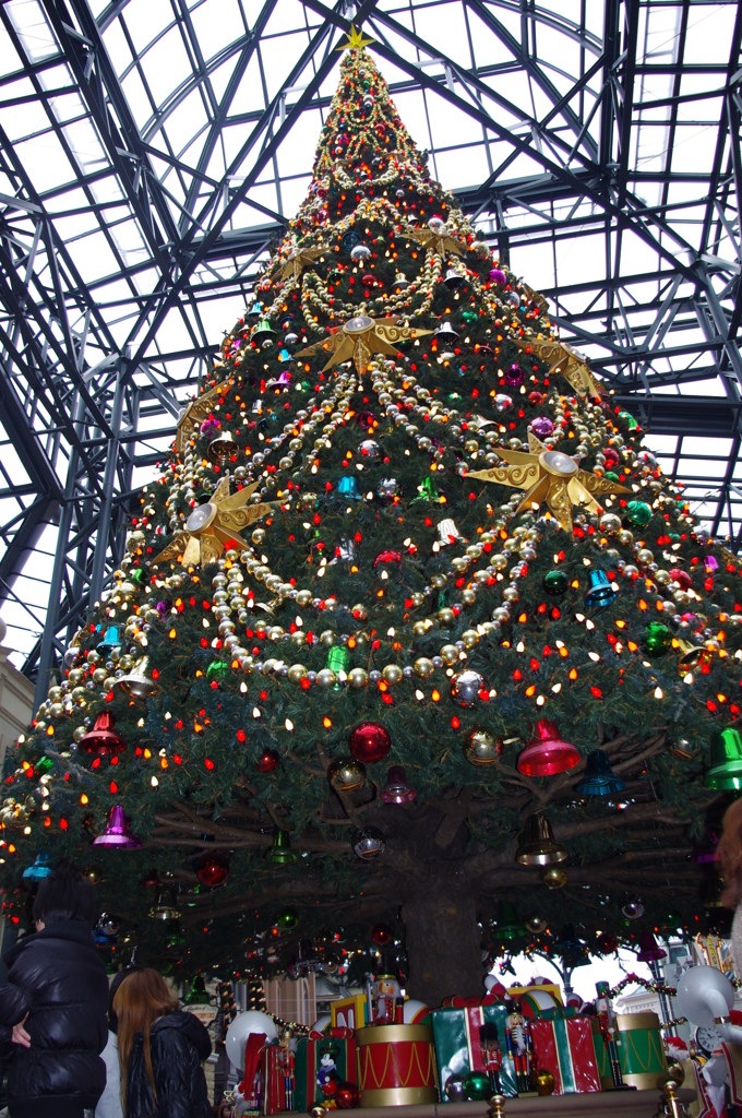 私のpresentはどこかな…☆★