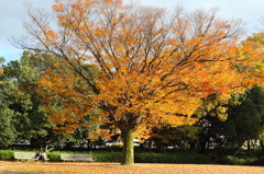 公園１５時半