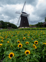 鶴見緑地公園にて