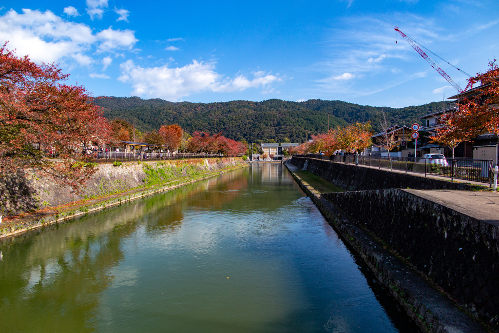 京の秋