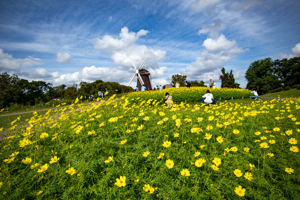 鶴見緑地公園にて