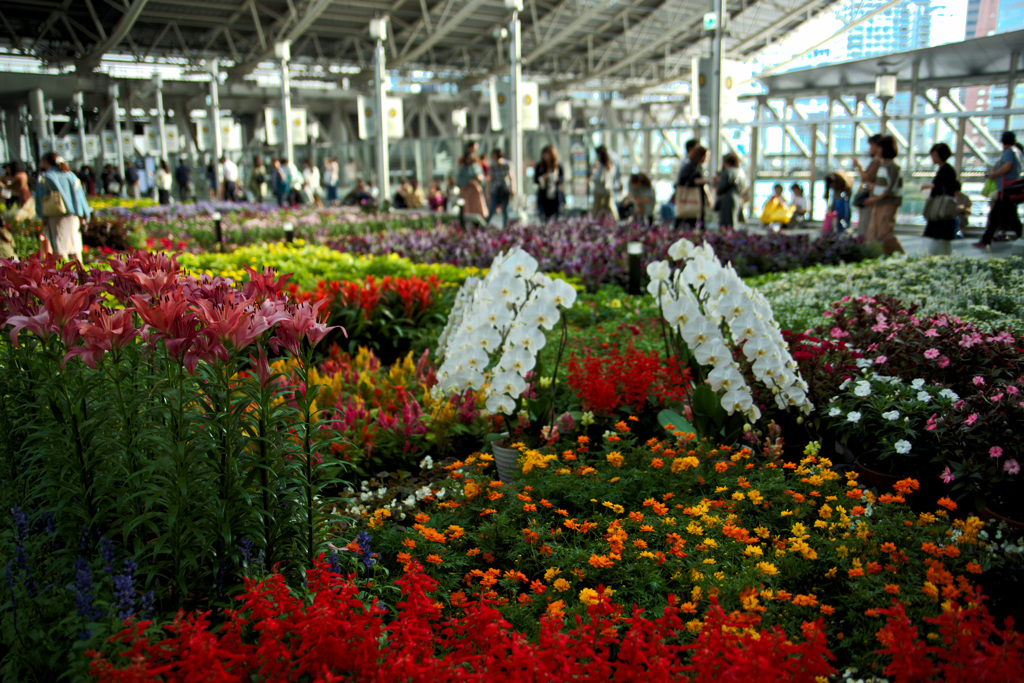 フラワーアートミュージアム2019