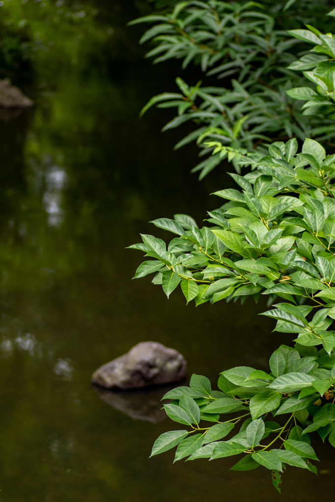 長居植物園にて
