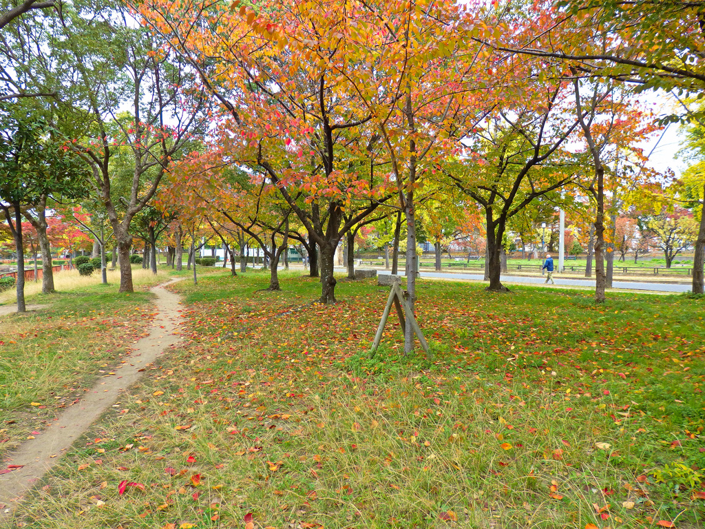 大阪城公園にて