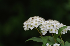 J1試し撮り(その2)