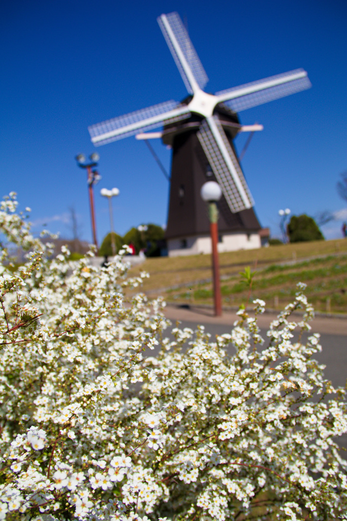 鶴見緑地公園にて