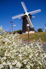 鶴見緑地公園にて