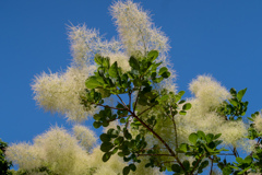 長居植物園にて