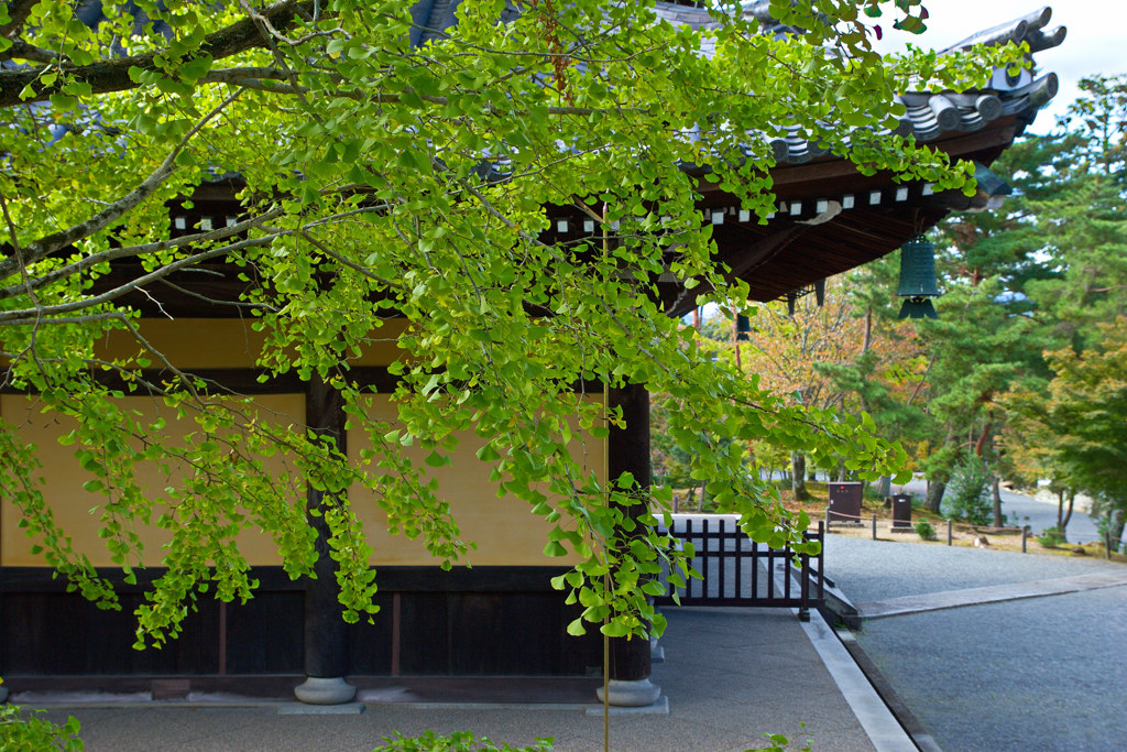 南禅寺で秋探し