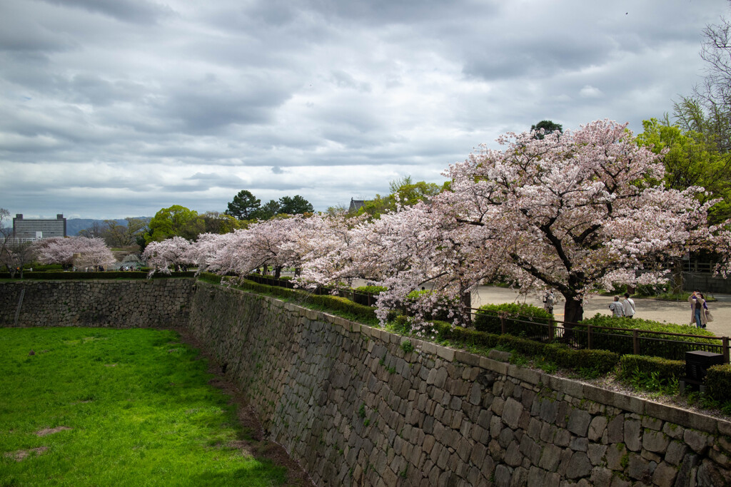 大阪城公園にて