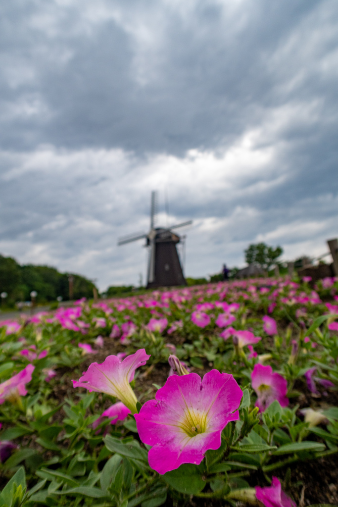 鶴見緑地公園にて