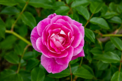 鶴見緑地公園にて