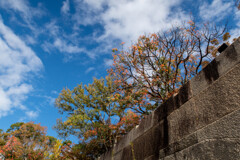 大阪城公園にて