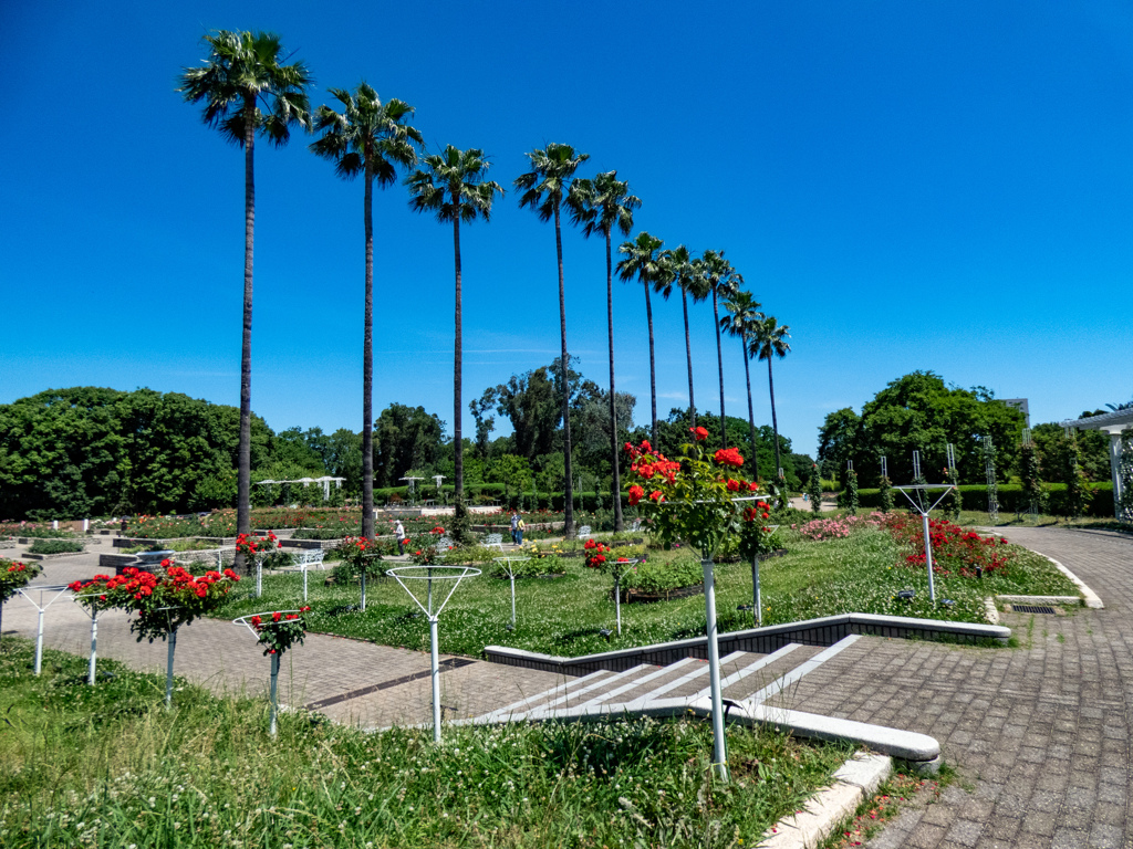長居植物園にて